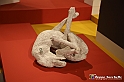 VBS_8974 - Mostra Invito a Pompei